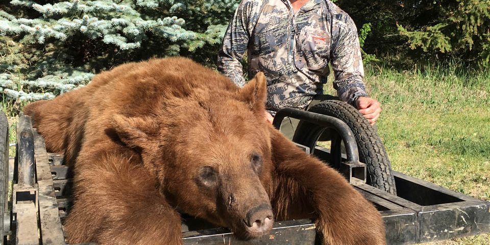 North Star Outfitting Black Bear Hunting Outfitters