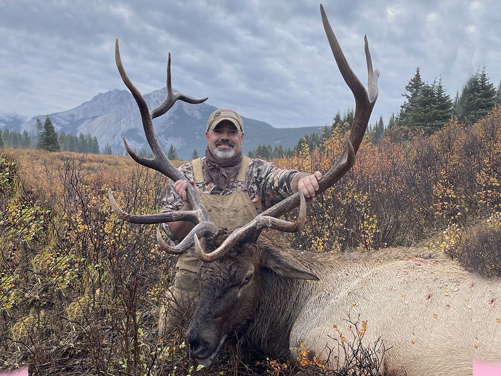 Elk Hunts Alberta Canada