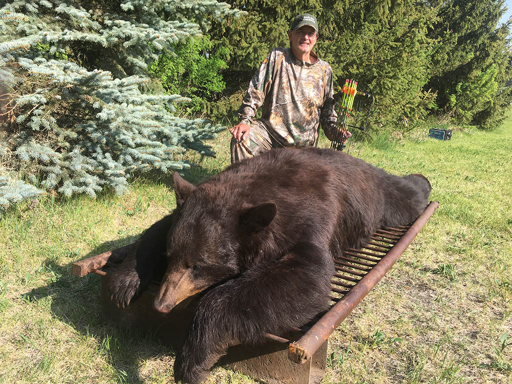 Alberta Canada Black Bear Hunts