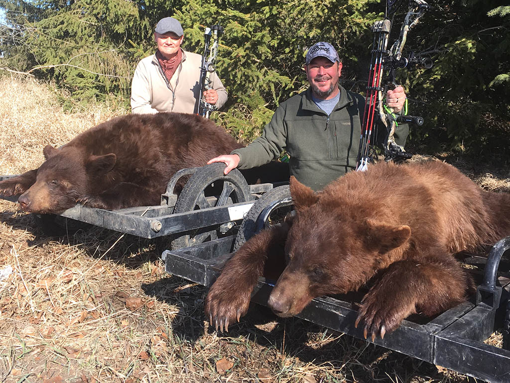 black-bear-hunting-north-star-outfitting-alberta2