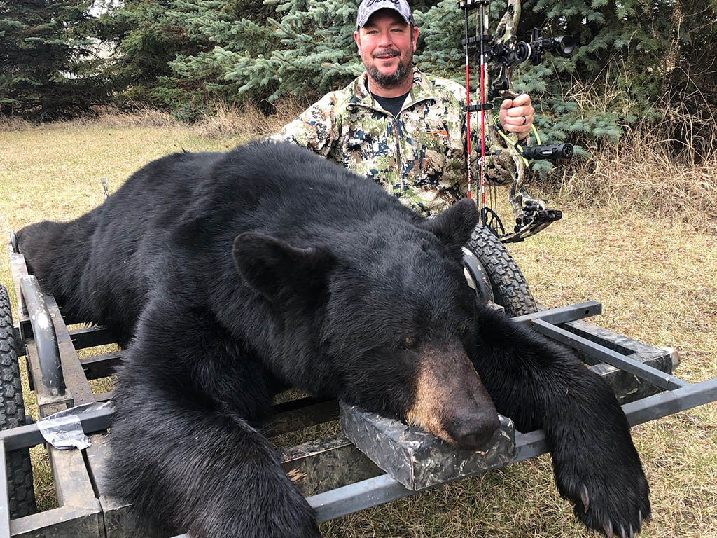 black-bear-hunting-north-star-outfitting-alberta3