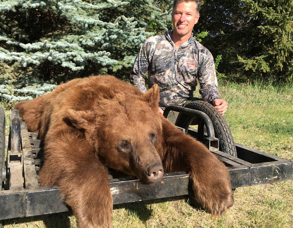 North Star Outfitting Black Bear Hunting Outfitters