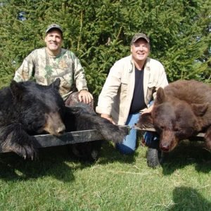 Alberta Canada Bear Hunting with North Star Outfitting