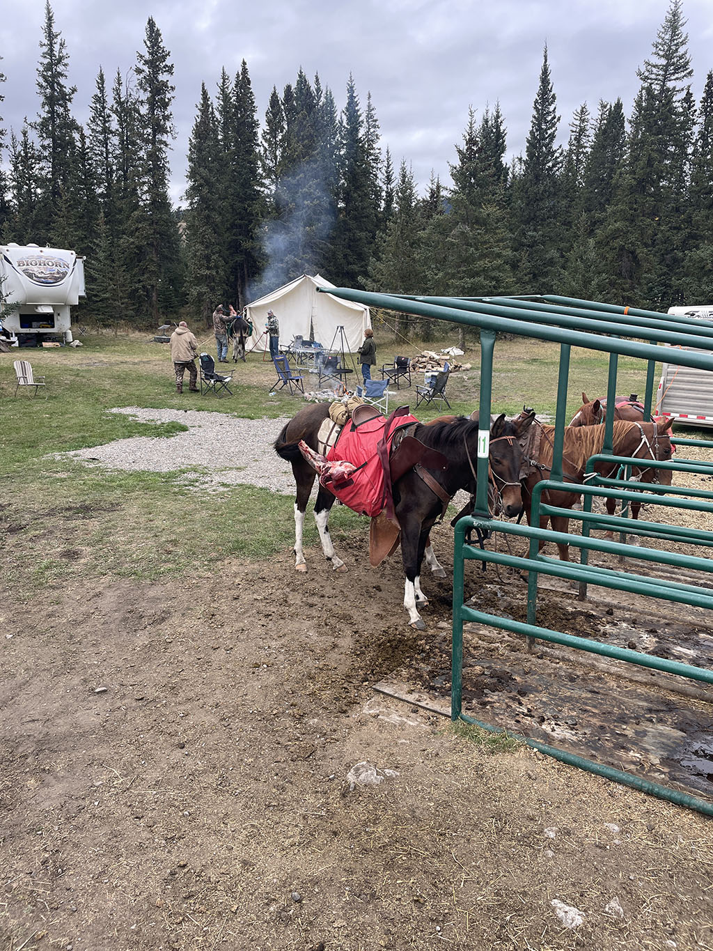 Alberta-Canada-Elk-Hunting3