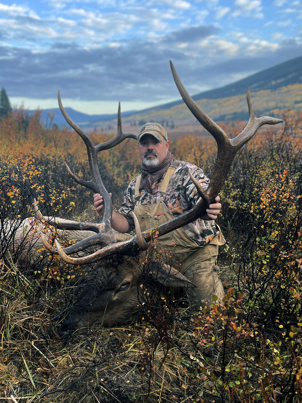 Alberta-Canada-Elk-Hunts
