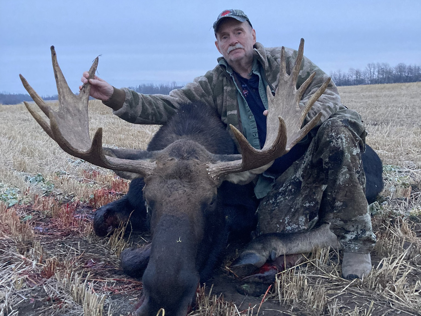 Canada Moose Hunting Outfitters Alberta