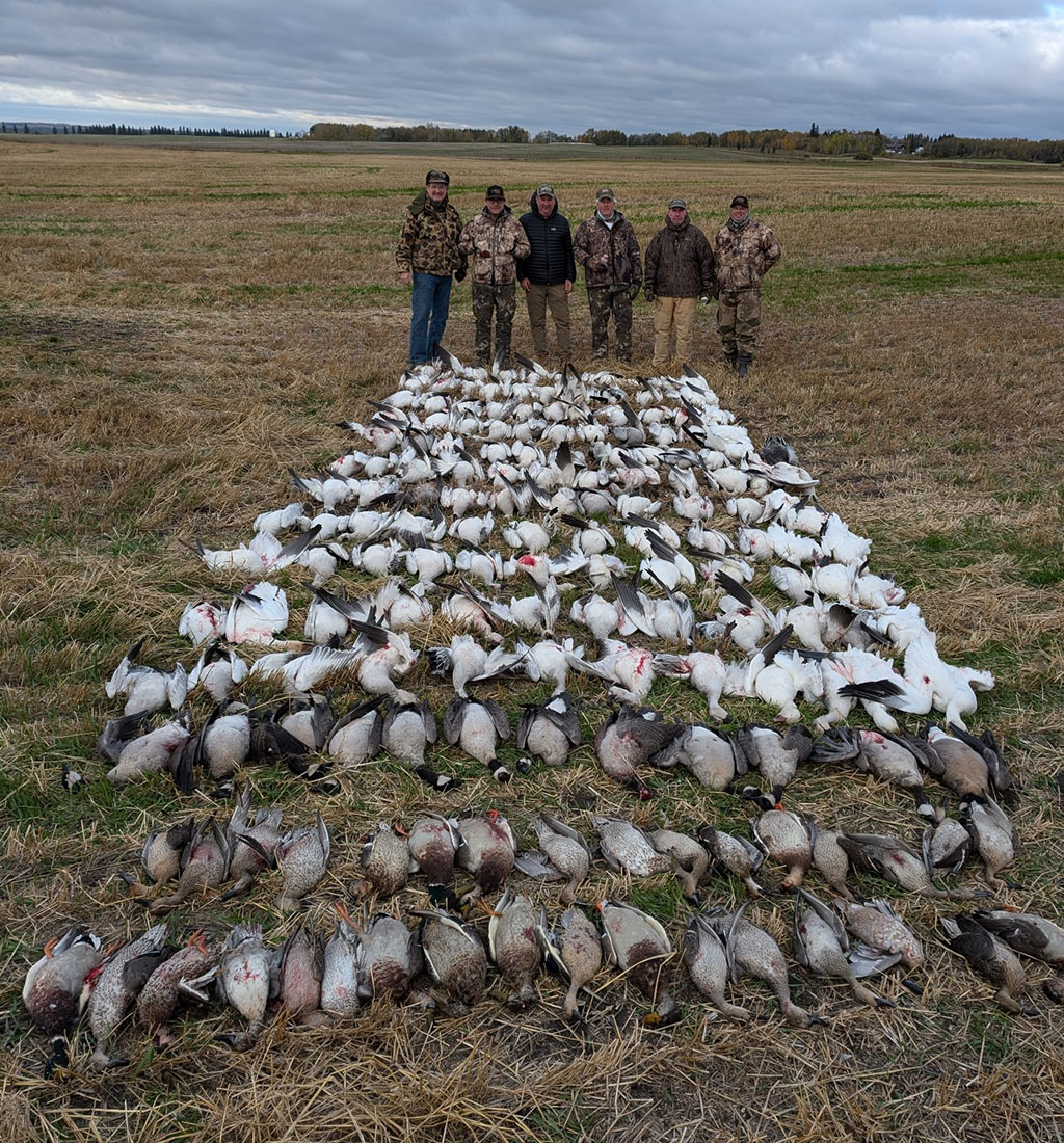 Alberta Canada Waterfowl Hunting